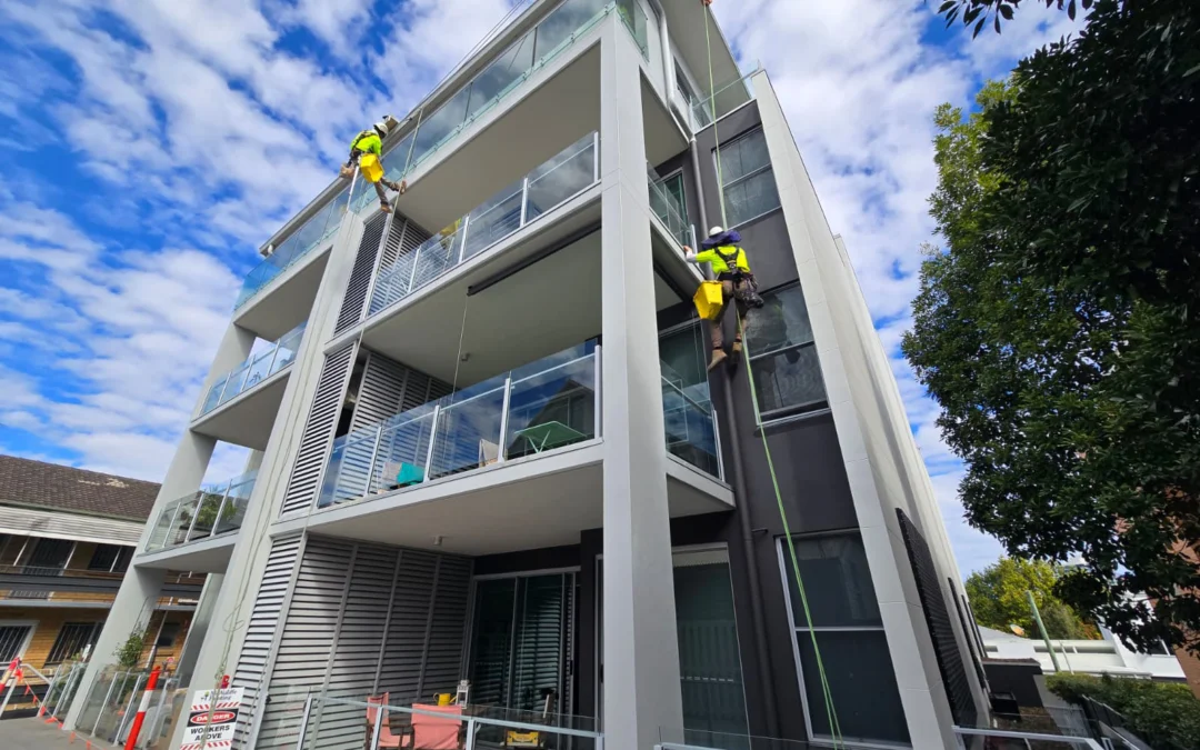 Water Damage, Mould and Efflorescence: Fixing the Cause Before You Repaint a Commercial Building