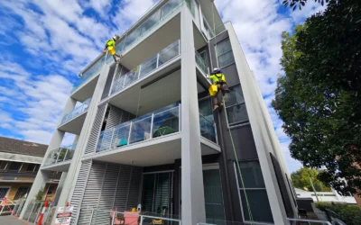 Water Damage, Mould and Efflorescence: Fixing the Cause Before You Repaint a Commercial Building