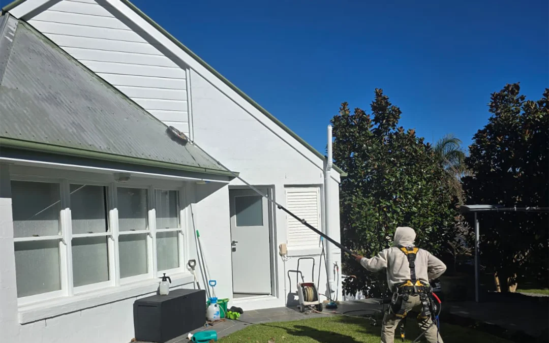 Painting in Brisbane Humidity: How to Stop Mould and Mildew Coming Back